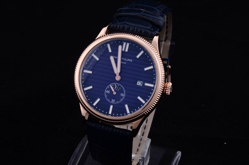 Patek Philippe Watch 310